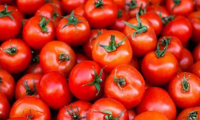 Tomatoes and their nutritional profiles.