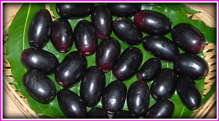 জাম খাওয়ার সময় যেসব নিয়ম মানা জরুরী জাম খাওয়ার সময় যেসব নিয়ম মানা জরুরী