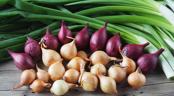 Shallots and their nutritional profiles.