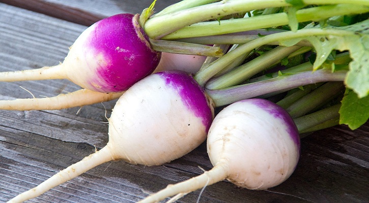 Turnips and their nutritional profiles.