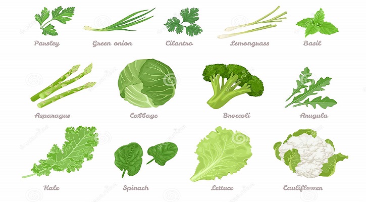 29 of the best lettuce varieties for your garden ( Part -2 )