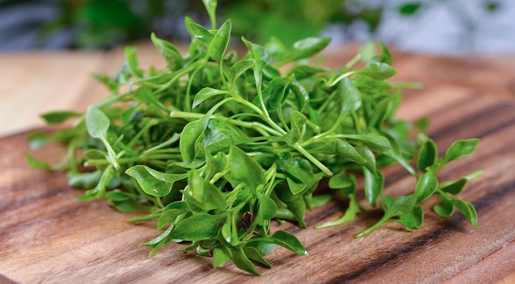 Watercress and their nutritional profiles.
